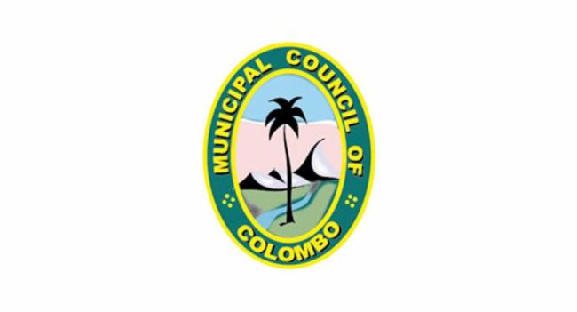 Heavy Rains and Winds Cause Tree Falls
